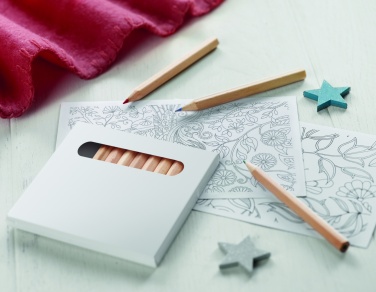 Logo trade reklaamkingi pilt: Värvipliiatsite komplekt